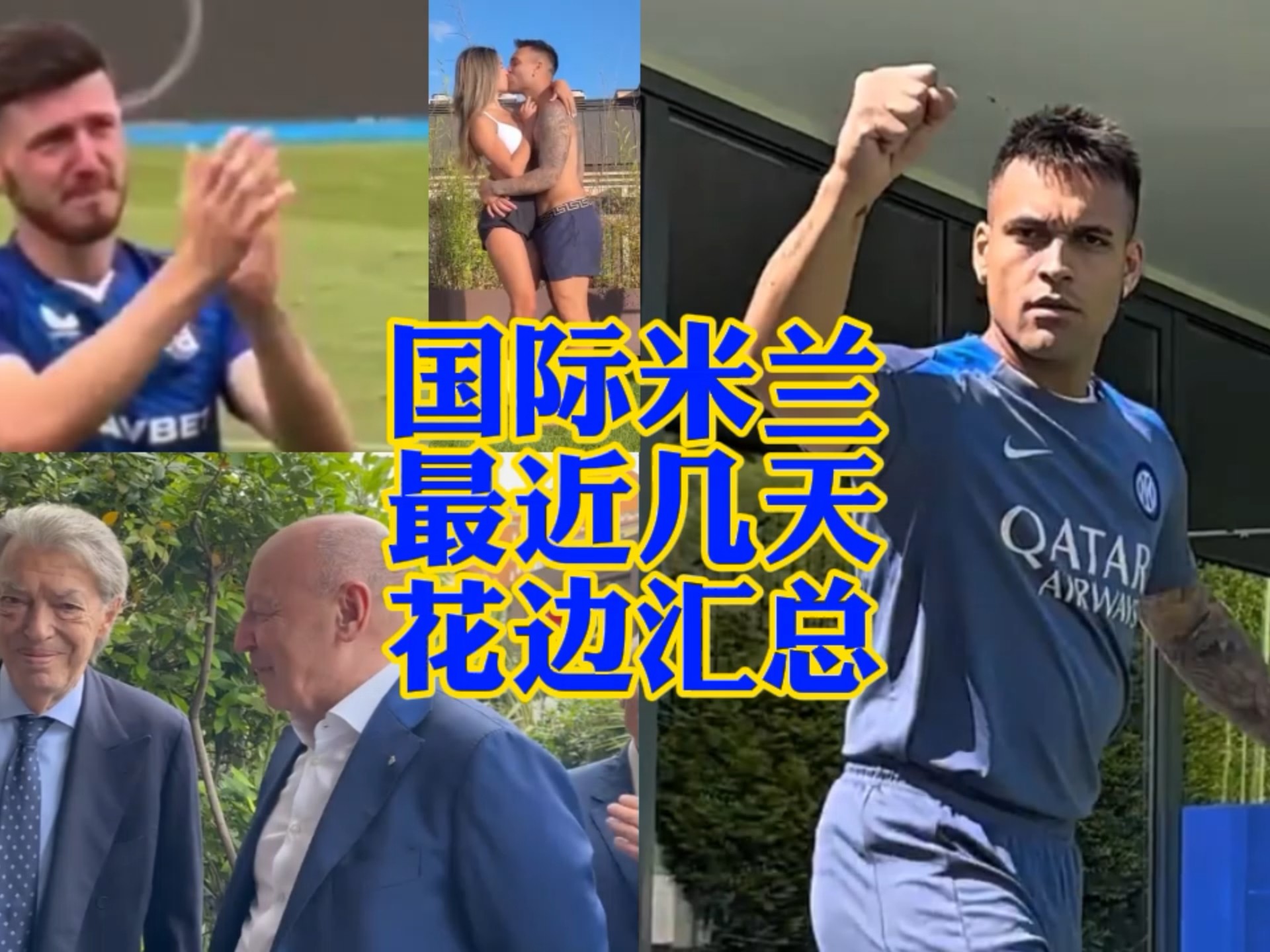 对鹈鹕的进