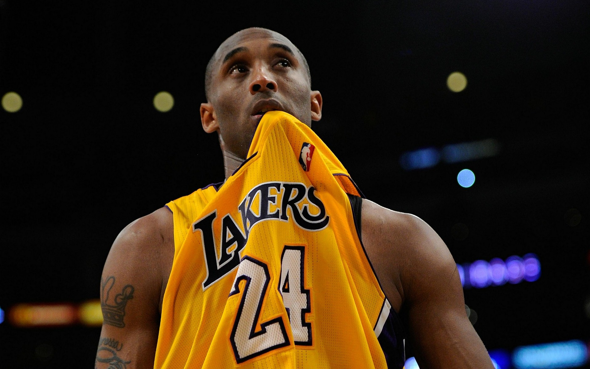 上的拼搏精 上的拼搏精